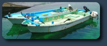 柏島 釣り 貸舟