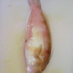 200809041704000.jpg