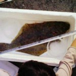 200905251729000.jpg