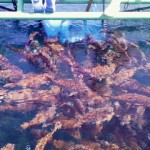 200907180945000.jpg