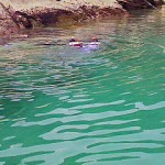 200908010937000.jpg