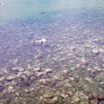 200908031034000.jpg