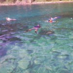 200908041529000.jpg