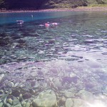 200908170902000.jpg