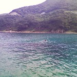 200908230921000.jpg