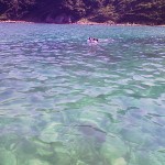 200908240929000.jpg