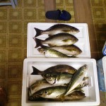 200908312142000.jpg