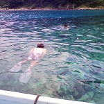 200909060941000.jpg