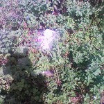 201008310910001 2010/08/31 09:10